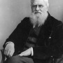 Photograph of British humanist, naturalist, and critic Alfred Russel Wallace.