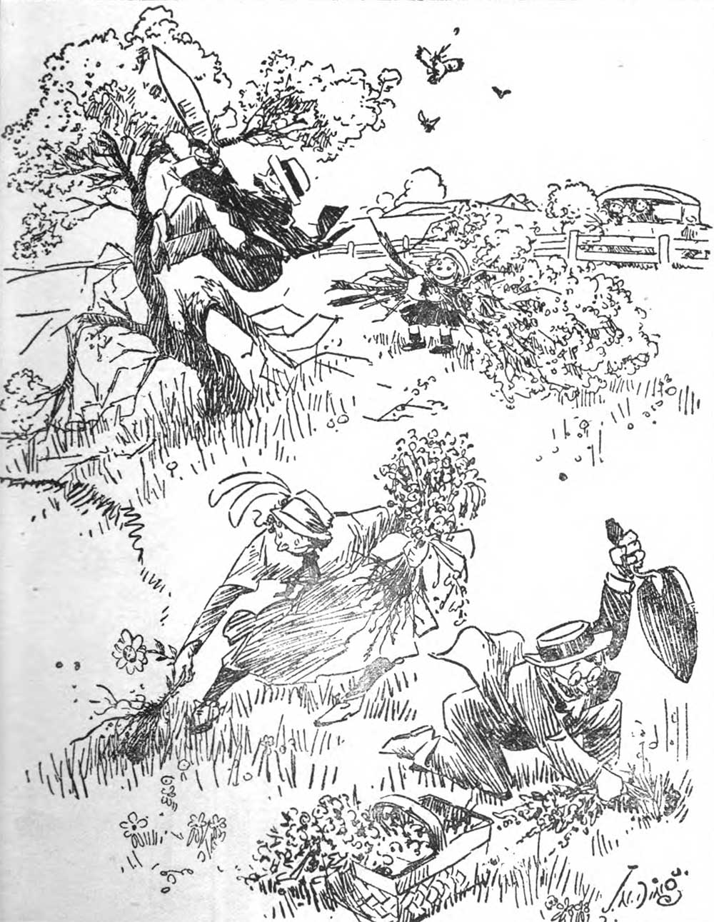 “We Do Hope the Wildflowers Appreciate How Ardently We Love Them,” cartoon from a Wild Flower Preservation Society circular, reprinted in the New York Tribune, 1923.